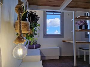 a room with a window and a staircase with plants at Κατοικία Uppolis με θέα τα νησιά in Ano Syros