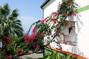 Hotel MARINELLA parking wi-fi spiaggia attrezzata外面的花园