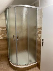 a shower with a glass door in a room at Penzion Star Doksy in Doksy