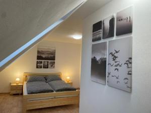 1 dormitorio con 1 cama y cuadros en la pared en Penzion Star Doksy, en Doksy