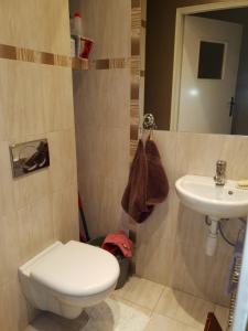 uma casa de banho com um WC e um lavatório em Apartament Alutka em Cracóvia