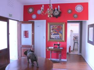 a dog standing on top of a table in a room at The Boston Guest House in Bellville +1 photo