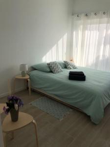 1 dormitorio con 1 cama grande con sábanas verdes en Studio dans impasse proche plages Hossegor en Bénesse-Maremne