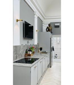 Η κουζίνα ή μικρή κουζίνα στο ApartmentInCopenhagen Apartment 1529 +55 φωτογραφίες