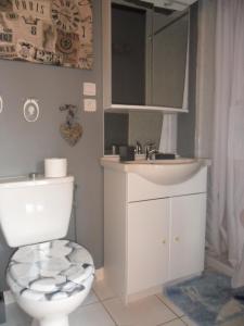 y baño con aseo y lavamanos. en Gite Hôtel chambre d' hôtes et roulottes et du Ternois en Saint-Pol-sur-Ternoise