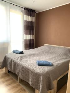 ein Schlafzimmer mit einem Bett mit einem blauen Kissen darauf in der Unterkunft Apartment TT11 in Trnava