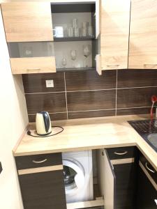 a kitchen with a washer and a washing machine at Apartment TT11 in Trnava +18 photos