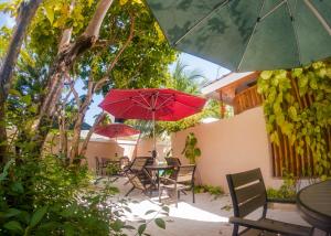 Zahrada ubytování K. INN Kaashidhoo