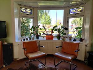 duas cadeiras sentadas em frente a uma janela com plantas em Ecolodge Directorsroom and Swimmingpool em Tilburg