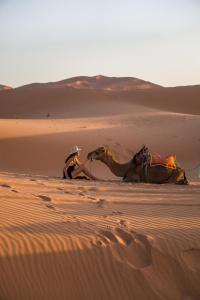a man sitting next to a camel in the desert at Beldi camp in Merzouga