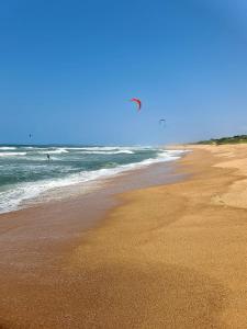 a person is flying a kite on the beach at Maison H Guest House in Durban