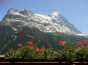 uma montanha com flores vermelhas à sua frente em Hotel Bernerhof Grindelwald em Grindelwald mais 37 fotografias