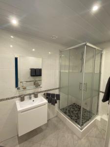 La salle de bains est pourvue d'une douche en verre et d'un lavabo. dans l'établissement Eliz Appartements, à Ringsheim
