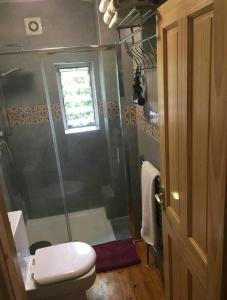 a bathroom with a shower and a toilet at One bedroom with garden in London