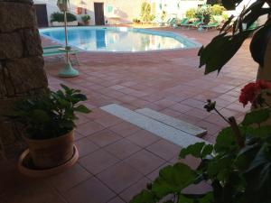 a swimming pool with a potted plant next to it at Hotel Villa Gemella in Baja Sardinia