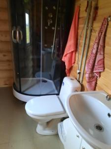 łazienka z toaletą i umywalką w obiekcie Viesu māja Manturi w mieście Piepeni