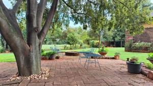 a patio with a table and chairs under a tree at Cozy cottage in the Cradle of Humankind in Muldersdrift