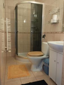 uma casa de banho com um WC, um chuveiro e um lavatório. em Pokoje Gościnne U Jaśka em Ząb