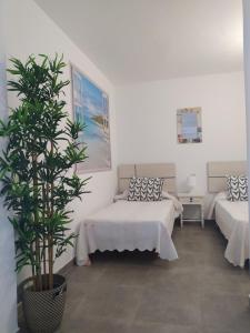 Postel nebo postele na pokoji v ubytování Apartamentos CH 2