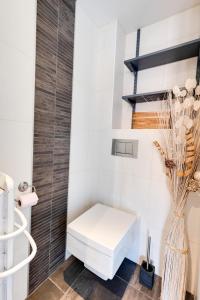baño con aseo blanco y jarrón en Le Duplex atypique superbe coeur centre ville, en Annecy
