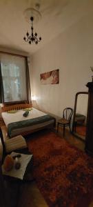 um quarto com uma cama, uma cadeira e um lustre em Classical Budapest apartment in the old Pest em Budapeste