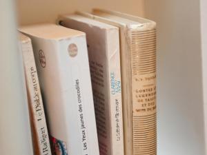 un groupe de livres assis sur une étagère dans l'établissement Le colibri, à Étretat