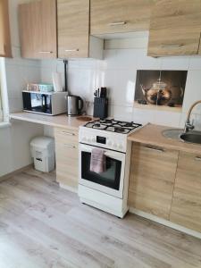een keuken met een wit fornuis en een wastafel bij Cozy two-room apartment in Liepāja