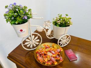 a table with two potted plants and a plate of food at Villa Marogna in Alghero