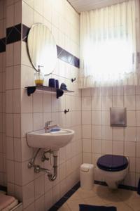 a bathroom with a sink and a toilet and a mirror at Pension Merbald in Beilngries