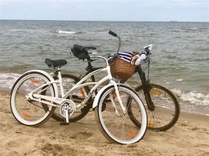 Jazda na bicykli v okolí ubytovania Apartamenty Villa Fiori - Wyspa Sobieszewska