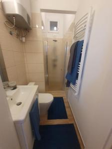 Un baño con inodoro, lavabo y ducha. en Petőfi apartment with Air condition, en Budapest