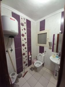 a small bathroom with a toilet and a sink at Stunning Sea View Flat (One Bed Room)Entire Place in Alexandria