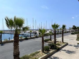 una fila de palmeras en un estacionamiento con barcos en San Lorenzo Marina Apartment, en San Lorenzo al Mare