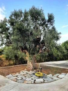 Gallery image of Castello Apartments in Kalyves Poligirou