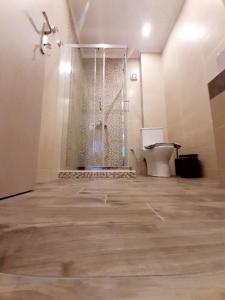 a bathroom with a shower and a toilet at Castello Apartments in Kalivia Poligirou