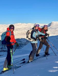 eine Gruppe von drei Personen auf Skiern im Schnee in der Unterkunft Storehorn Apartments in Hemsedal