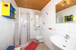 y baño con ducha, aseo y lavamanos. en Grießlhof, en Pleystein