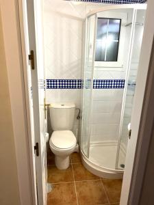 ein Bad mit einem WC und einer Dusche in der Unterkunft Marina II apartment in Huelva
