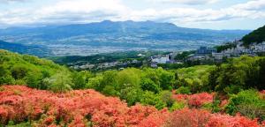 Blick auf eine Stadt mit Bäumen und Gebäuden in der Unterkunft ホテルアンの家 in Ikaho