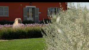 A garden outside Agriturismo Piani Della Marina