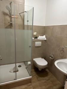 a bathroom with a shower and a toilet and a sink at Gasthaus AFINA in Süsel