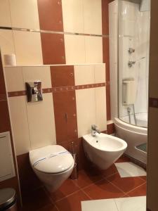 łazienka z toaletą i umywalką w obiekcie Apartaments Teris w mieście Żytomierz