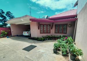 a pink house with potted plants in front of it at Thuvaraga Inn in Nuwara Eliya