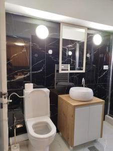 a bathroom with a white toilet and a sink at A G Studio's Palas-Iasi in Iaşi