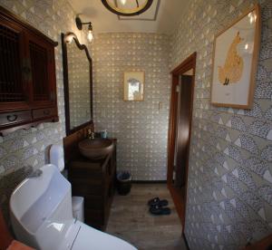 a bathroom with a sink and a toilet and a mirror at Gableview Forest Inn ゲーブルビュー in Nikko