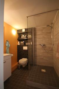 ein Bad mit einer Dusche, einem WC und einem Waschbecken in der Unterkunft Villa Rosengarten auf der Sonneninsel Fehmarn in Fehmarn