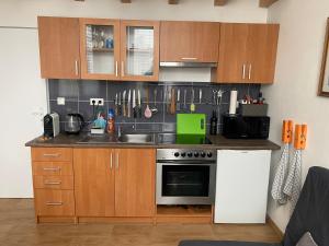 Kuchyň nebo kuchyňský kout v ubytování Apartmán v Lesní