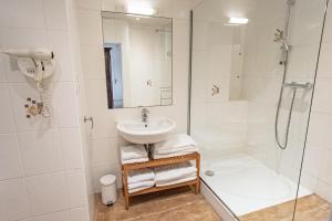 a bathroom with a sink and a shower at Appartement Mozart in Strasbourg