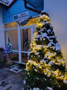 Zajazd Bombonierka في Wikno: شجرة عيد الميلاد مع أضواء أمام متجر