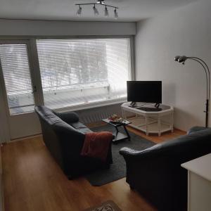 Μια τηλεόραση ή/και κέντρο ψυχαγωγίας στο Cozy practical cheap flat 2 km from Rauma center